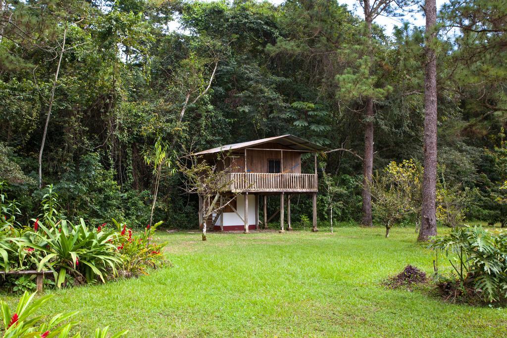 Finca Ixobel Quarto foto